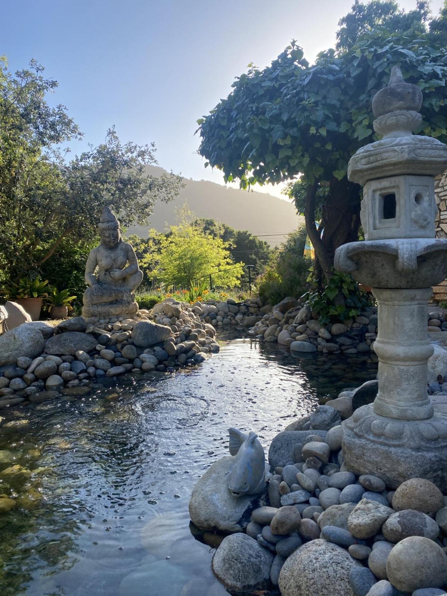 Carmel Valley Lodge Exteriör bild