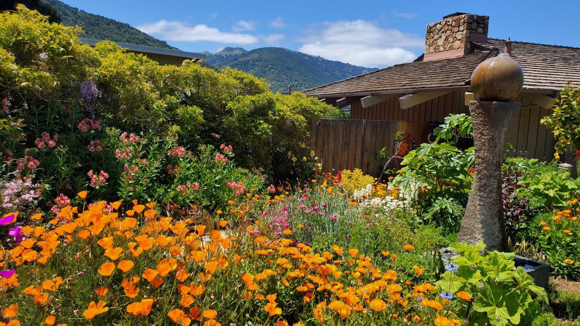 Carmel Valley Lodge Exteriör bild
