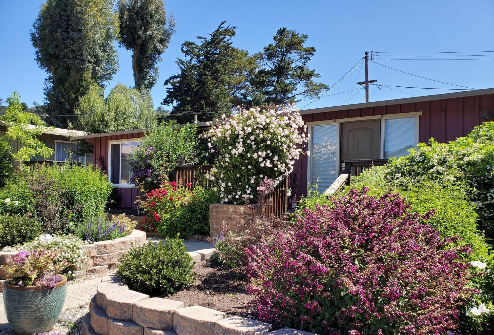 Carmel Valley Lodge Exteriör bild